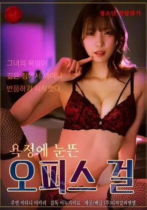 夜航西塔 热播电视剧全集在线观看